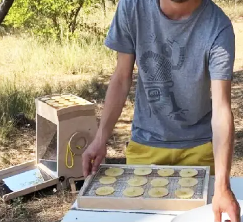 Solar Dryer for Fruits & Vegetables